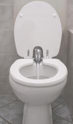 Toilette Nett bidé WC-ülőke 420L (420L)