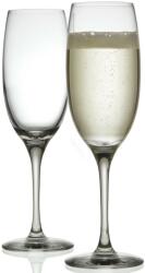 Alessi Pahar pentru șampanie MAMI, set de 4 buc, 250 ml, Alessi Pahar
