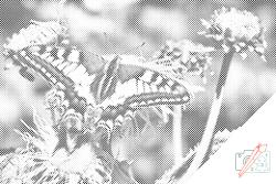  PontPöttyöző - Pillangó pitypangon Méret: 40x60cm, Keretezés: Keret nélkül (csak a vászon), Szín: Zöld