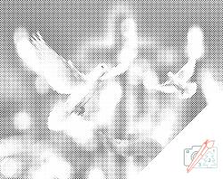  PontPöttyöző - A béke galambja Méret: 30x40cm, Keretezés: Keret nélkül (csak a vászon), Szín: Kék