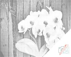 PontPöttyöző - Fehér orchidea Méret: 40x50cm, Keretezés: Keret nélkül (csak a vászon), Szín: Fekete