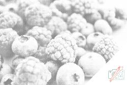  PontPöttyöző - Fagyott gyümölcs Méret: 40x60cm, Keretezés: Keret nélkül (csak a vászon), Szín: Piros