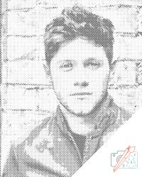 PontPöttyöző - Niall Horan 2 Méret: 30x40cm, Keretezés: Keret nélkül (csak a vászon), Szín: Piros