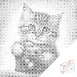 PontPöttyöző - Cicák kamerával Méret: 50x50cm, Keretezés: Keret nélkül (csak a vászon), Szín: Piros