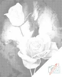  PontPöttyöző - Fehér rózsa Méret: 30x40cm, Keretezés: Keret nélkül (csak a vászon), Szín: Zöld