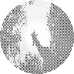  PontPöttyöző - Zsiráf a holdfényben Méret: 50x50cm, Keretezés: Kerek keret, Szín: Kék