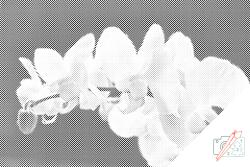 PontPöttyöző - Fehér orchidea 2 Méret: 40x60cm, Keretezés: Keret nélkül (csak a vászon), Szín: Kék