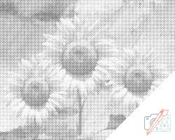  PontPöttyöző - Napraforgók a stúdióban Méret: 30x40cm, Keretezés: Keret nélkül (csak a vászon), Szín: Piros