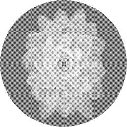  PontPöttyöző - Feledésbe merült Mandala virág Méret: 50x50cm, Keretezés: Kerek keret, Szín: Fekete