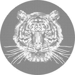  PontPöttyöző - Tigris fekete háttérrel Méret: 50x50cm, Keretezés: Kerek keret, Szín: Piros