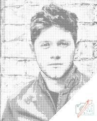  PontPöttyöző - Niall Horan 2 Méret: 30x40cm, Keretezés: Keret nélkül (csak a vászon), Szín: Fekete