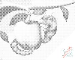  PontPöttyöző - Almát majszoló hernyó Méret: 40x50cm, Keretezés: Keret nélkül (csak a vászon), Szín: Zöld