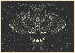 Interdruk - Puzzle Fluture lunar - 500 piese Puzzle