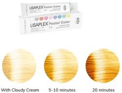 Lisap Lisaplex Haarfarbe – Pastell Gelb Sonnenblume, 60 Ml, Hochdeckend & Glänzend