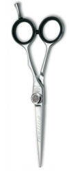 Kiepe Professional Foarfeca de tuns dreapta 5.5 inci Master Feeling (KI258.55)