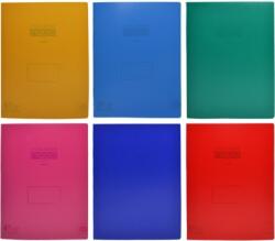  Caiet dictando, A4, 60 file, coperta PP, diverse culori, Nebo RB25468 (RB25468)
