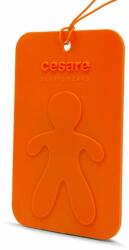 Mr&Mrs Fragrance Cesare Scented Cards Energy (29121)