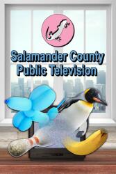 Tinzone Games Salamander County Public Television (PC)