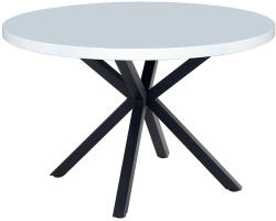 TEMPO KONDELA Étkezőasztal, fehér matt/fekete, átmérő 120 cm, MEDOR - smartbutor