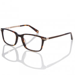 Ted Baker 8161-145 Rama ochelari