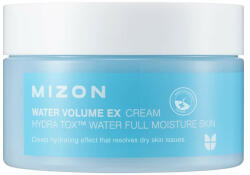 MIZON - Crema de fata Water Volume EX, Mizon, 100 ml