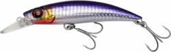 Savage Gear Gravity Runner Bloody Anchovy PHP 10 cm 37 g (73561)
