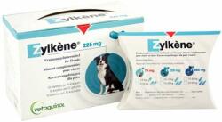 Zylkéne antistres, capsule de calmare pentru pisici și câini de talie medie (10 blistere; 100 capsule) 225 mg