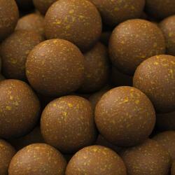 SBS Tactical Bait Products EuroBase Ready-Made Boilies Tigrismogyoró 20 mm 1 kg