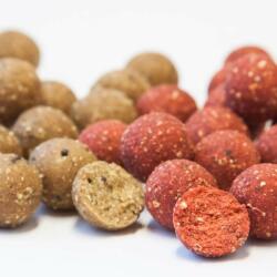 SBS Tactical Bait Products Soluble-Oldódó EuroBase Ready-Made Boilies Fokhagyma 24 mm 1 kg