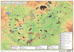 Stiefel Könyökalátét, kétoldalas, A3, STIEFEL "Magyarország vadon élő állatai / Magyarország állatvilága (187182K) - bestoffice