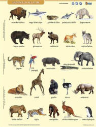 STIEFEL Tanulói munkalap, A4, STIEFEL" Vadon élő állatok (27588) - bestoffice