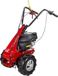 Eurosystems Minieffe RM Briggs 675 IS (967320250)