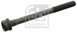 Febi Bilstein 34696 Surub chiulasa