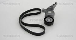 TRISCAN Set curea transmisie cu caneluri TRISCAN 8642 29001 (8642 29001) - automobilus