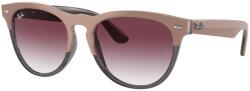 Ray-Ban Iris RB4471 66338H