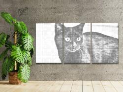  PontPöttyöző - Fekete vadmacska (3 db-os készlet) Méret: 40x60cm (3db), Keretezés: Keret nélkül (csak a vászon), Szín: Kék