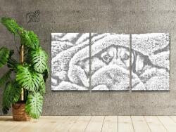  PontPöttyöző - Kiskutya aranyos tekintete (3 db-os készlet) Méret: 40x60cm (3db), Keretezés: Keret nélkül (csak a vászon), Szín: Kék