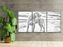 PontPöttyöző - Kutya a tengerparton (3 db-os készlet) Méret: 40x60cm (3db), Keretezés: Keret nélkül (csak a vászon), Szín: Zöld