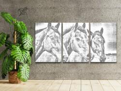 PontPöttyöző - Három ló (3 db-os készlet) Méret: 30x40cm (3db), Keretezés: Keret nélkül (csak a vászon), Szín: Fekete