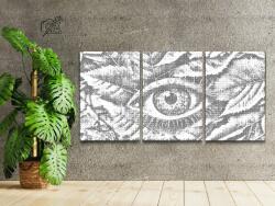 PontPöttyöző - Levelek közé rejtett szem (3 db-os készlet) Méret: 30x40cm (3db), Keretezés: Keret nélkül (csak a vászon), Szín: Kék