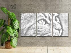  PontPöttyöző - Aranyos macska (3 db-os készlet) Méret: 40x60cm (3db), Keretezés: Keret nélkül (csak a vászon), Szín: Piros