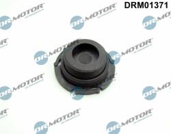 Dr. Motor Automotive surub de golire, baia de ulei Dr. Motor Automotive DRM01371 (DRM01371)