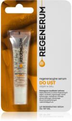Regenerum Lip Care ser pentru buze, cu efect de netezire efect regenerator 7 g