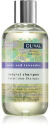 Olival Natural Mint and Lavender sampon natural pentru păr uscat și deteriorat 250 ml
