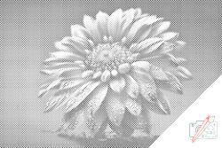 PontPöttyöző - Szivárványos virág Méret: 40x60cm, Keretezés: Keret nélkül (csak a vászon), Szín: Piros