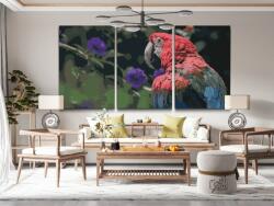 Festés számok szerint - Arakanga (3 db-os készlet) Méret: 40x60cm (3db), Keretezés: Keret nélkül (csak a vászon)