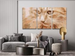  Festés számok szerint - Vadászó macska (3 db-os készlet) Méret: 30x40cm (3db), Keretezés: Keret nélkül (csak a vászon)