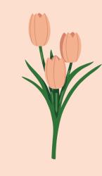 Festés számok szerint - Rózsaszín tulipánok Méret: 40x60cm, Keretezés: Keret nélkül (csak a vászon)