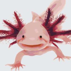  Festés számok szerint - Axolotl 3 Méret: 50x50cm, Keretezés: Keret nélkül (csak a vászon)