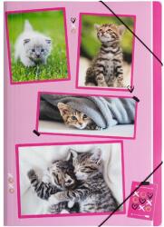 PAGNA A4 PP macskák gumismappa P2171715 (P2171715)